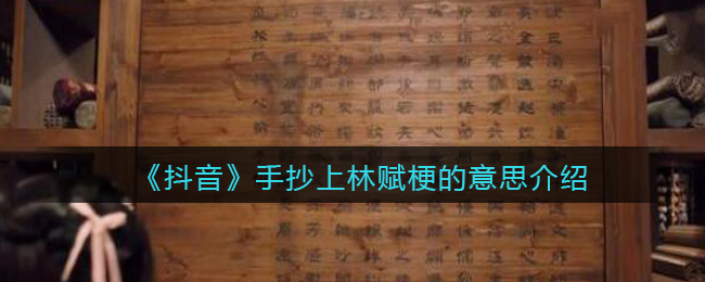 手抄上林赋什么含义_抖音手抄上林赋是什么梗
