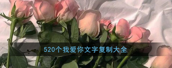 520个我爱你文字复制带数字爱心_520个我爱你复制