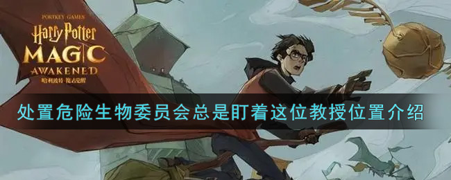 哈利波特魔法觉醒处置危险生物委员会总是盯着这位教授在哪里_处置危险生物