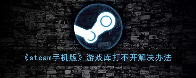 steam手机版打不开库存怎么办_steam游戏库加载不出来解决办法