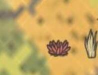 饥荒双胞胎姐妹怎么玩-双胞胎姐妹玩法推荐