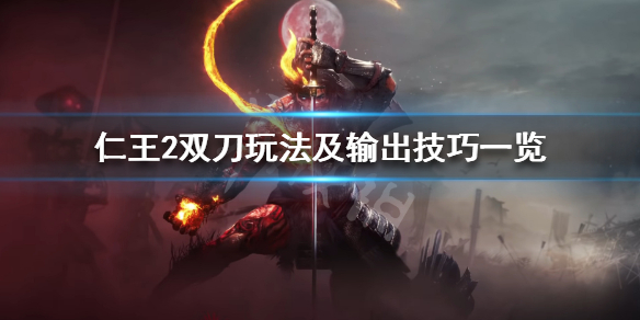 仁王2双刀怎么连招_双刀玩法教程