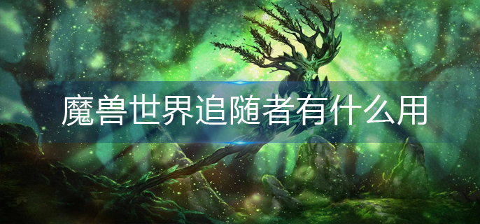 魔兽世界追随者有什么用_追随者作用分享