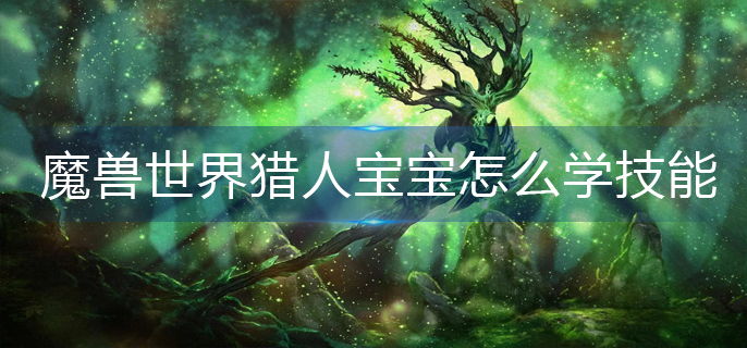 魔兽世界猎人宝宝怎么学技能_猎人宝宝技能学习方法