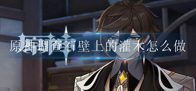 原神调查石壁上的灌木怎么做_调查石壁上的灌木完成方法
