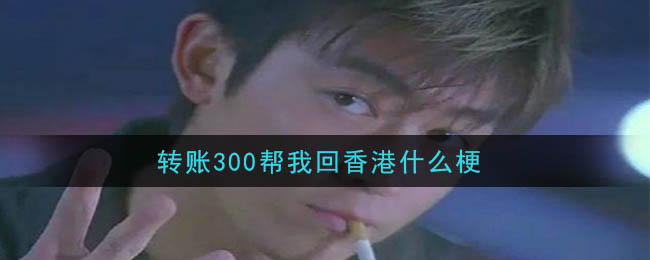 转账300帮我回香港什么梗_陈冠希转账300帮我回香港什么意思