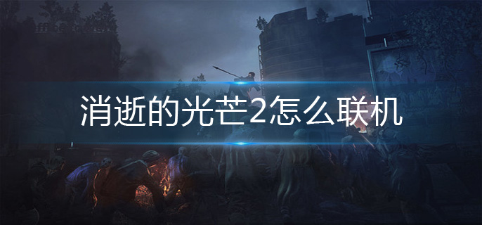 消逝的光芒2怎么联机_联机方法