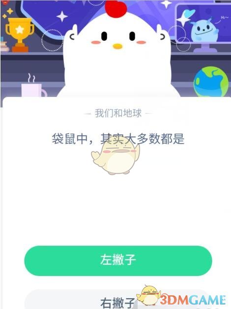 袋鼠中，其实大多数都是_6月27日支付宝每日一题