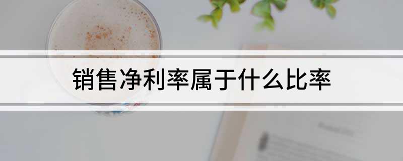 销售净利率属于什么比率