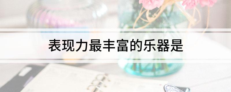 表现力最丰富的乐器是