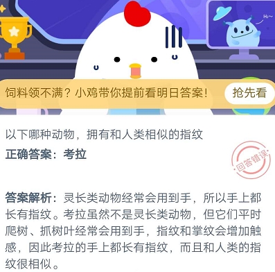 以下哪种动物拥有和人类相似的指纹