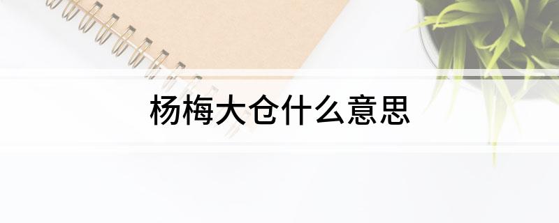 杨梅大仓什么意思