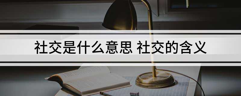 社交是什么意思 社交的含义
