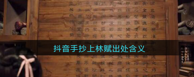 手抄上林赋得心上人什么梗_抖音手抄上林赋出处含义