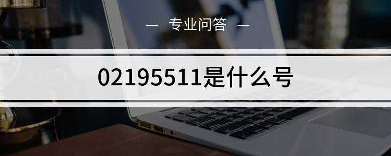02195511是什么号