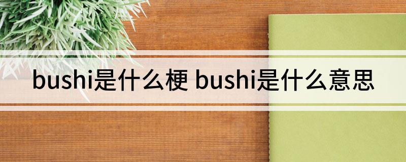 bushi是什么梗 bushi是什么意思
