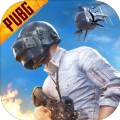 pubg地铁逃生游戏下载_pubg地铁逃生安卓版下载