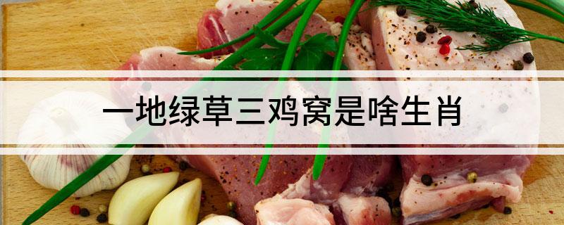 一地绿草三鸡窝是啥生肖 一地绿草三鸡窝指的是哪一个生肖