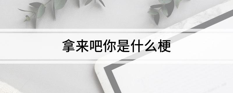 拿来吧你是什么梗