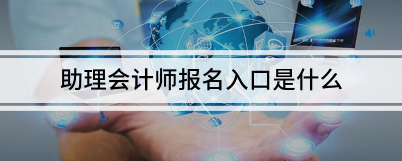 助理会计师报名入口是什么
