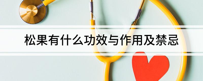松果有什么功效与作用及禁忌