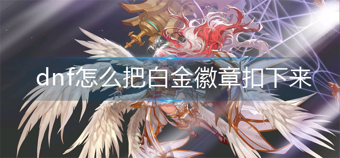 dnf怎么把白金徽章扣下来_白金徽章取下机制