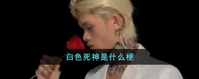 白色死神是什么梗_白色死神梗出处介绍