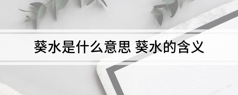葵水是什么意思 葵水的含义