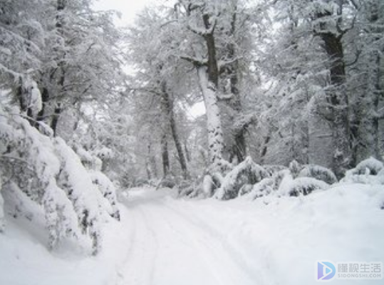北国风光千里雪飘全诗