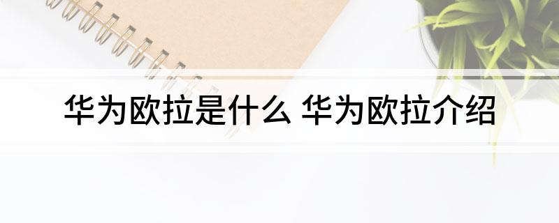 华为欧拉是什么 华为欧拉介绍