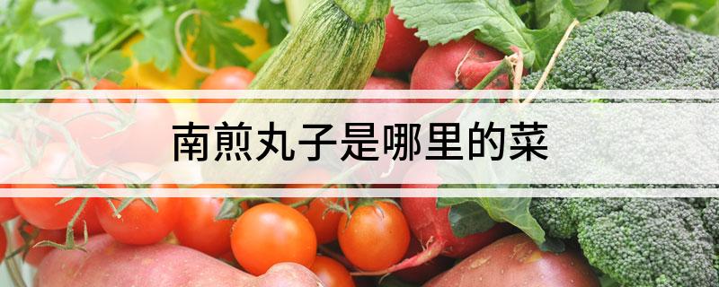 南煎丸子是哪里的菜