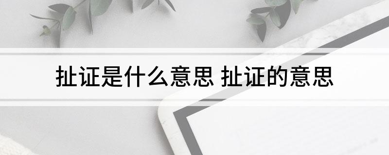 扯证是什么意思 扯证的意思