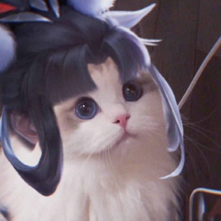 《王者荣耀》猫咪接头头像大全