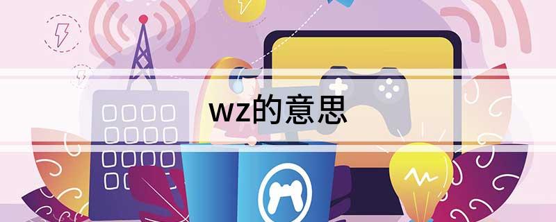 wz的意思