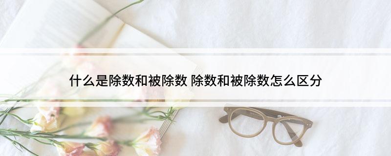 什么是除数和被除数 除数和被除数怎么区分