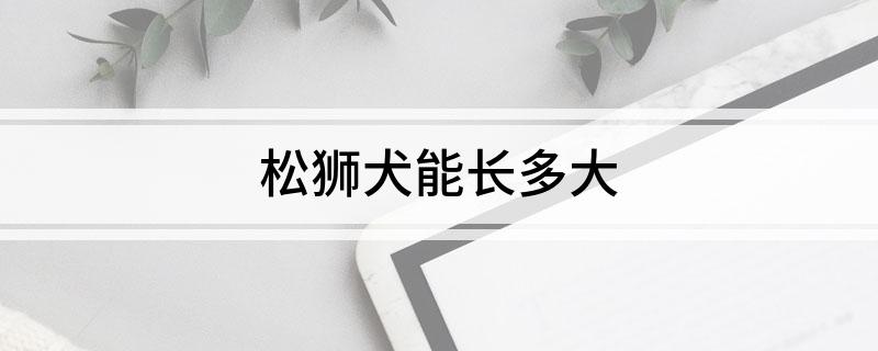 松狮犬能长多大