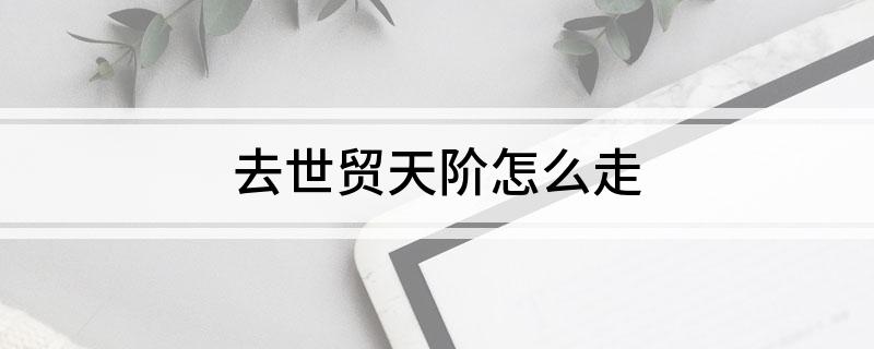 去世贸天阶怎么走