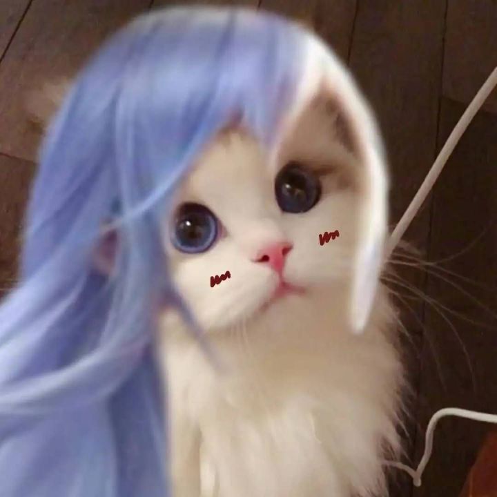 《王者荣耀》猫咪接头头像大全