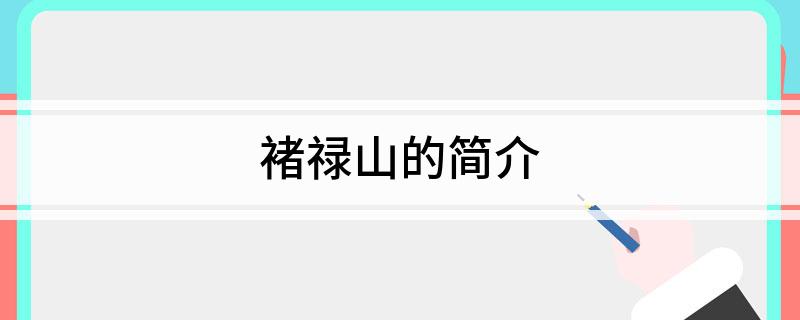 褚禄山的简介