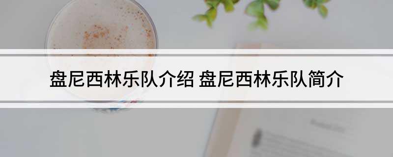 盘尼西林乐队介绍 盘尼西林乐队简介