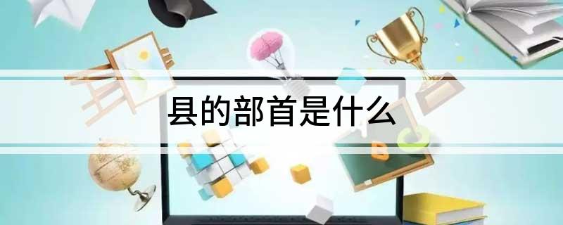县的部首是什么