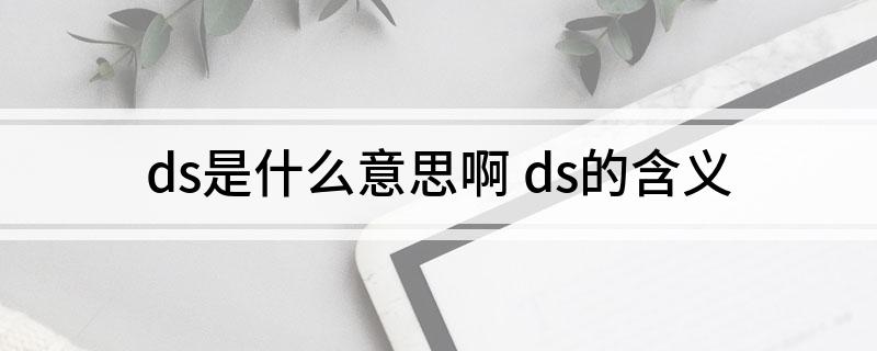 ds是什么意思啊 ds的含义