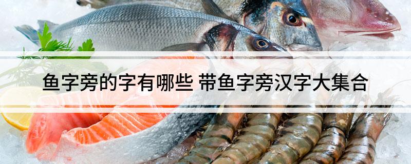 鱼字旁的字有哪些 带鱼字旁汉字大集合