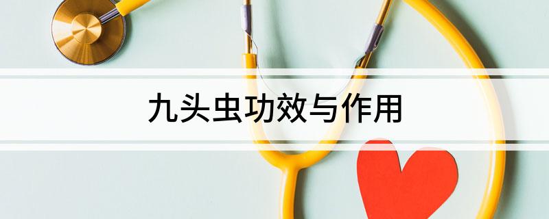 九头虫功效与作用