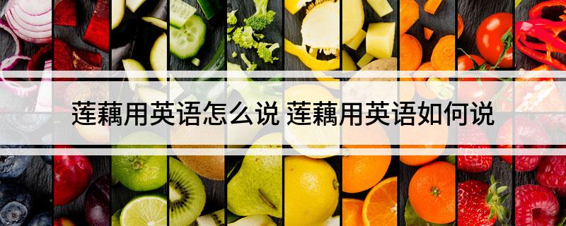 莲藕用英语怎么说 莲藕用英语如何说