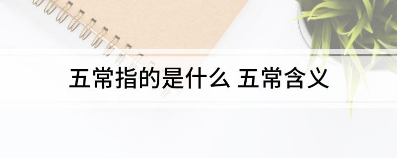 五常指的是什么 五常含义