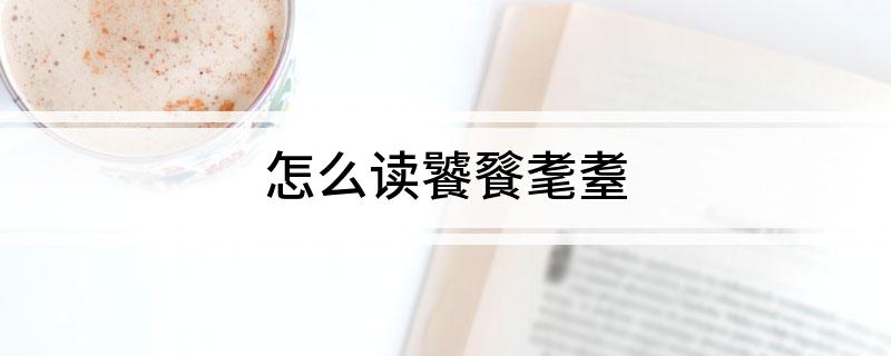 怎么读饕餮耄耋
