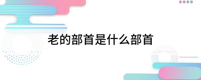 老的部首是什么部首