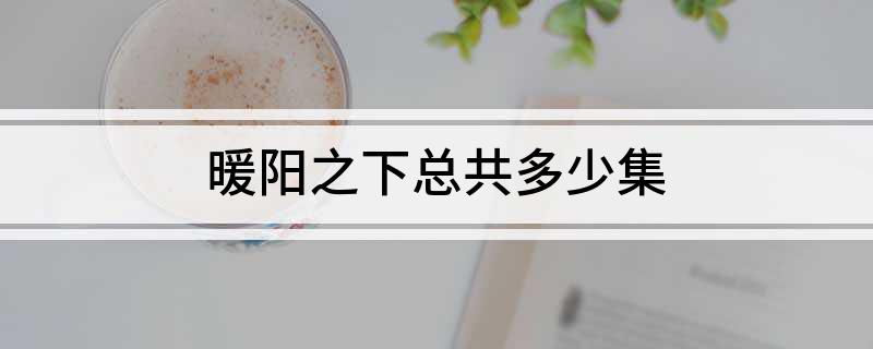 暖阳之下总共多少集