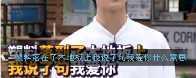 塑料落到了木地板上什么意思_塑料落在了木地板上我说了句我爱你梗含义出处